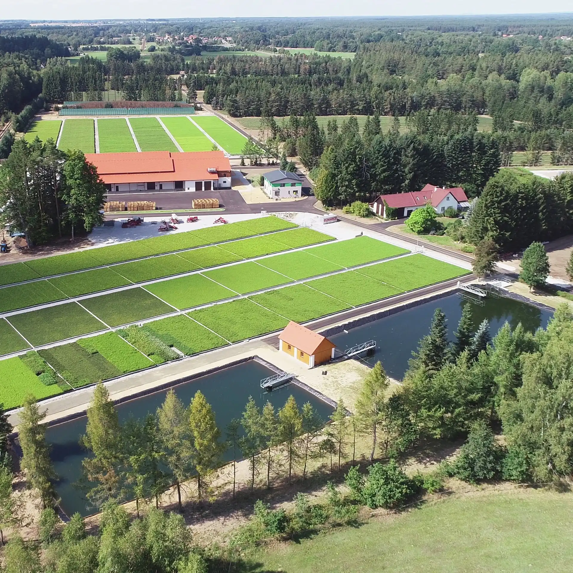 Forest nursery Žofinka - Nová Ves nad Lužnicí Forest nursery Žofinka - Nová Ves nad Lužnicí